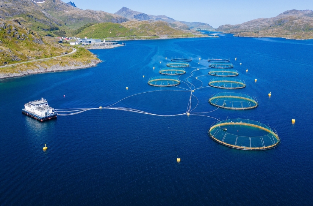 L'aquaculture chez Agexis